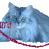 qelque signature server-vous (