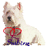 mes signature sabine (ces moi 