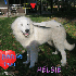 chanson pour helsie jolie