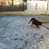 Noel va etre Blanc de Givre !