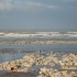 Nouvel an 2008 en Normandie ch