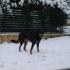 Neige a crepey !