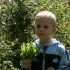 le soleil et les papoutes en M