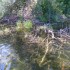 fin de semaine dans les lauren