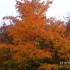 Des couleurs en pagaille!