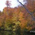 Des couleurs en pagaille!