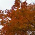Des couleurs en pagaille!