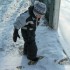 FAIT FRETTE EN TABEROUETTE!