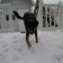 Premiere tempete de neige...