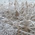 de la neige en masse!