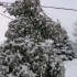 de la neige en masse!