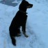 de la neige en masse!