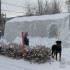 de la neige en masse!