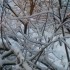 de la neige en masse!