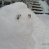 de la neige en masse!