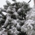 de la neige en masse!