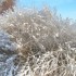 encore de la neige et moins 22