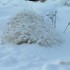 encore de la neige et moins 22