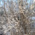 encore de la neige et moins 22