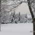les joies de l'hiver!!!!! dece