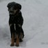 TEMPETE DE NEIGE a Saint Basil