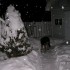 TEMPETE DE NEIGE a Saint Basil