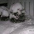 TEMPETE DE NEIGE a Saint Basil