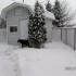 vive la neige!