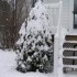 vive la neige!