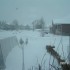 6 MOIS AU QUEBEC