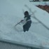 6 MOIS AU QUEBEC