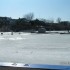 le retour des OUTARDES, escapa