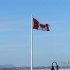 le retour des OUTARDES, escapa