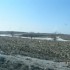 le retour des OUTARDES, escapa