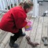 LA CHASSE AUX OEUFS!!!!!