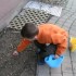 LA CHASSE AUX OEUFS!!!!!