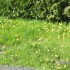 la nature explose!