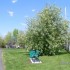 belles couleurs de printemps..