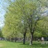 belles couleurs de printemps..