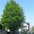belles couleurs de printemps..