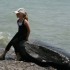 Mathilde en Ontario!
