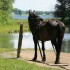 Mathilde en Ontario!