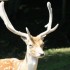 visite au parc OMEGA