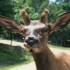 visite au parc OMEGA