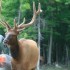 visite au parc OMEGA