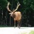 visite au parc OMEGA