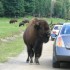 visite au parc OMEGA