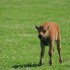 visite au parc OMEGA