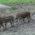 visite au parc OMEGA