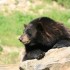 visite au parc OMEGA